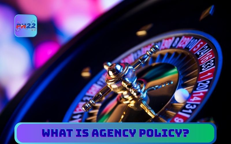 What Is Agency Policy?